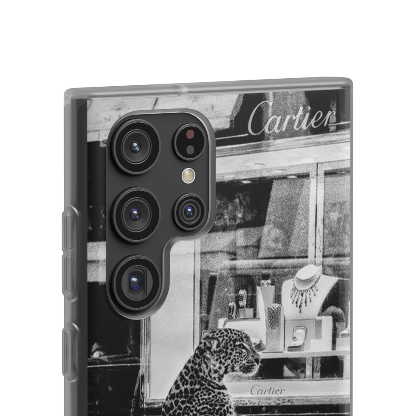 Cartier Store Cases