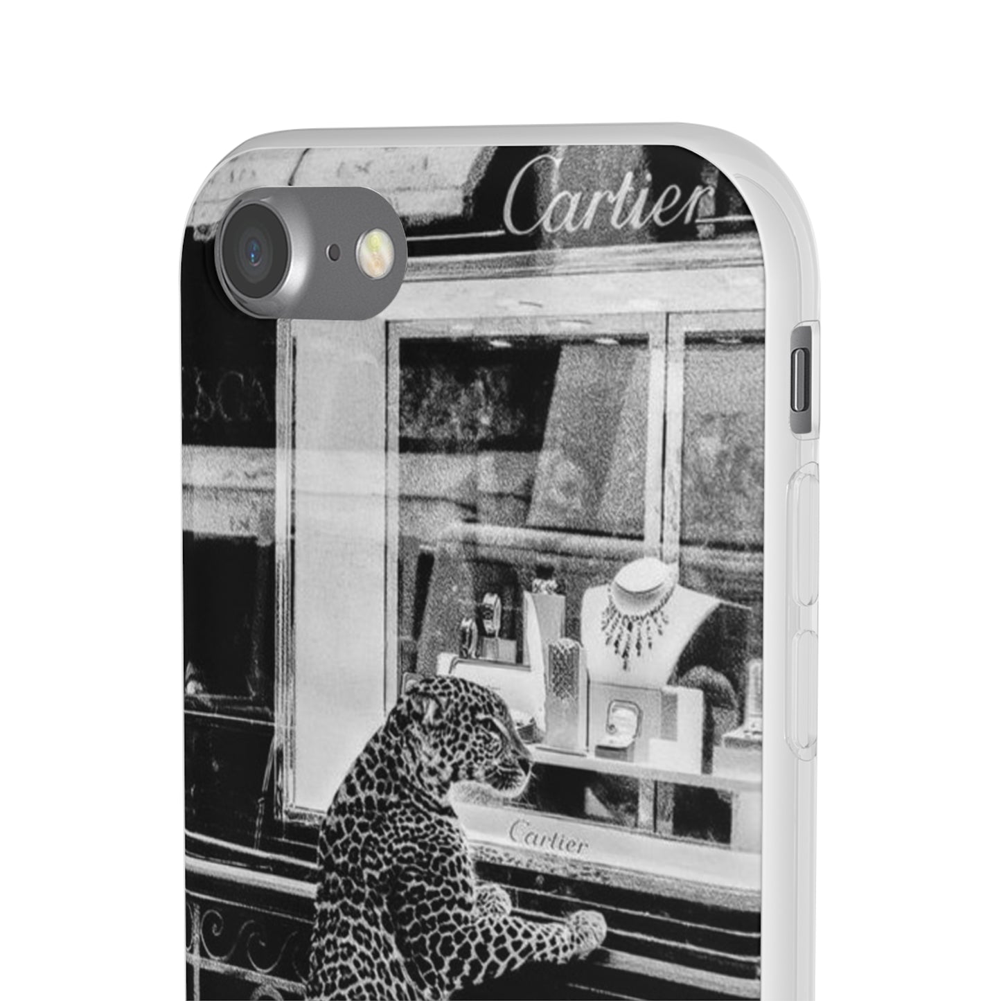 Cartier Store Cases